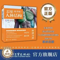 [醉染正版]正版艺用人体结构(精华版)9787121406058 乌迪斯·扎林斯电子工业出版社社会科学艺用人体解剖学普通
