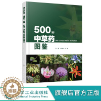 [醉染正版]正版 500种中草药图鉴 超实用本草纲目神农本草经 中草药鉴别中医药药材配方 药学方剂养生百科书籍 中医药大