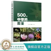 [醉染正版]正版 500种中草药图鉴 超实用本草纲目神农本草经 中草药鉴别中医药药材配方 药学方剂养生百科书籍 中医药大