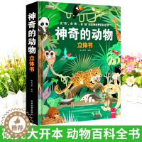 [醉染正版]儿童3d立体翻翻书翻拉互动洞洞书 神奇的动物立体书硬壳精装绘本0-3岁 幼儿启蒙小手撕不烂早教卡宝宝认知大书