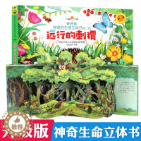 [醉染正版]好好玩神奇生命立体书第二辑 远行的刺猬 儿童立体书3d翻翻书洞洞书籍0-2-3周岁幼儿绘本5-6-8岁益智启