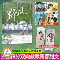 [醉染正版]野风小说 原名《野痞》晋江文学城实体书 现代都市校园爱情 双向救赎青春文学 孟宋著 痞里痞气 网吧老板 ×