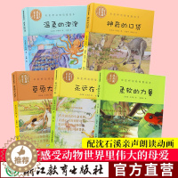 [醉染正版]沈石溪彩虹桥动物母爱绘本第二辑全套5册 沈石溪动物小说系列全集儿童书籍0-3-6岁宝宝早教启蒙认知书正版幼儿