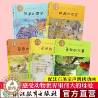 [醉染正版]沈石溪彩虹桥动物母爱绘本第二辑全套5册 沈石溪动物小说系列全集儿童书籍0-3-6岁宝宝早教启蒙认知书正版幼儿