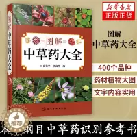 [醉染正版]图解中草药大全 中医入门中草药大全书籍药材植物彩图中药大全 中医养生保健大全中草药识别百科全书 本草纲目中草