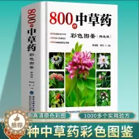 [醉染正版]800种中草药彩色全图鉴精选版 中草药抓配彩图大全书 中药材大百科本草纲目彩色图鉴 中医基础理论中草药识别中