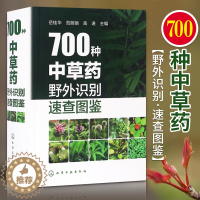 [醉染正版]700种中草药野外识别速查图鉴 中医草药识别图全集 养生速查书籍 中草药图谱基本知识识别手册应用 中医中药学