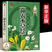 [醉染正版]神农本草经 正版 彩图版 加厚版原著原版珍藏本现代家庭养生指导中医养生入门中医古籍出版社日常食疗食养图书