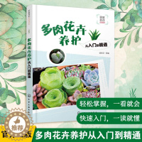 [醉染正版]正版 多肉花卉养护从入门到精通 徐帮学 家庭养花多肉花卉知识分类介绍 多肉花卉养护 多肉花卉图养花培育操作一