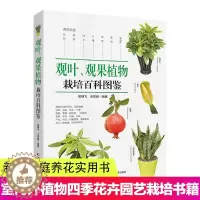 [醉染正版]观叶 观果植物栽培百科图鉴 吴棣飞 等编 新手家庭养花实用书 养花技术室内外植物种花大全四季花卉园艺种殖栽培