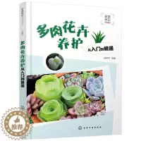 [醉染正版]正版 家庭养花必读书系--多肉花卉养护从入门到精通 1化学工业出版社 徐帮学 等 编