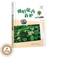 [醉染正版]观叶花卉养护从入门到精通 家庭养花书系 观叶花卉知识分类介绍 养花操作一本通 花卉的认知 基本养护方法详解