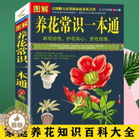 [醉染正版]图解养花常识一本通 家庭养花知识百科养花书籍大全图解方法掌握家庭养花解决养花难题 家庭阳台种植花草盆栽多肉植