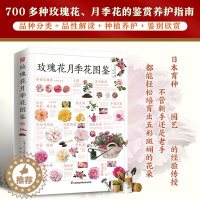 [醉染正版]正版 玫瑰花月季花图鉴 植物科普百科全书 自然科学读物 养花养植物养护指南 玫瑰月季基础知识 科普特