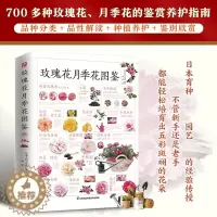 [醉染正版]正版 玫瑰花月季花图鉴 植物科普百科全书 自然科学读物 养花养植物养护指南 玫瑰月季基础知识 科普特