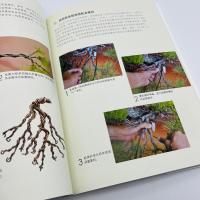 [醉染正版]图解五针松盆景制作技艺 刘立华 著 养花书籍