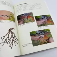 [醉染正版]图解五针松盆景制作技艺 刘立华 著 养花书籍