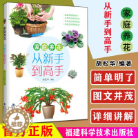 [醉染正版]家庭养花 从新手到高手 胡松华 150多种常见花卉品种栽培方法 上盆浇水施肥光照管理修剪病虫防治各技术环节养