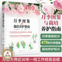 [醉染正版]月季图鉴与栽培养护指南 养花书籍花书花卉图鉴花艺大全插花的书种花种植插花花艺师设计中式素材大全艺术基础养护知