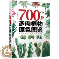 [醉染正版]700种多肉植物原色图鉴 第二版第2版 王意成 多肉植物养花养殖书 多肉种植盆景制作书 多肉鉴赏和养护科普书