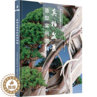 [醉染正版]真柏盆景造型实例图解 (日)近代出版株式会社 编 武桂名 译 养花书籍
