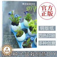 [醉染正版]正版 微型盆栽创意DIY 小型微植物 种植种子盆栽入门技巧 阳台室内养花书籍 盆栽艺术盆栽创意造型设计制作教