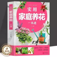 [醉染正版]正版 实用家庭养花一本通 彩图详解 花卉养护知识 养花教程花卉知识介绍种植栽培修剪指导繁殖法书籍鲜花品种