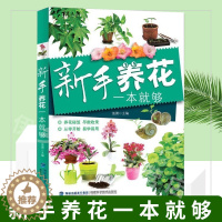 [醉染正版]新手养花一本就够 养花书籍种花大全花卉种植栽培技术书养花种花的书新手入门室内盆栽花卉养殖大全植物花草图解盆栽