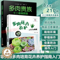 [醉染正版]多肉花卉养护从入门到精通 多肉贵族十二卷属图鉴 零基础多肉养殖书籍 花艺家庭养花植物 花卉多肉养护知识 多肉