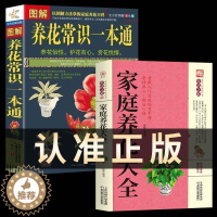 [醉染正版]正版2册 家庭养花大全 以图解方法掌握家庭养花百科 图解养花常识一本通 全方位图解 养花书 花卉大全 养花书