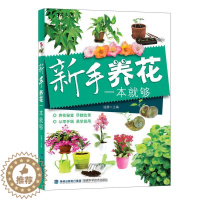 [醉染正版]RT正版 新手养花一本够9787533549305 涟漪福建科学技术出版社生活休闲书籍