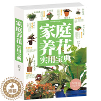 [醉染正版]家庭养花实用宝典 四季养花实用宝典 家庭养花和种菜全书 新手养花实用指南 四季养花一本通养花营养土施肥家庭园