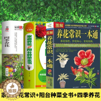 [醉染正版]全3册 图解养花常识一本通+阳台种菜+四季养花 以图解方法掌握家庭养花百科 手绘高清晰图片解决养花难题养花宝