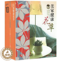 [醉染正版]正版 全彩图解版:美家健康花草(送香草籽低碳迷你花盆)居家健康花草家庭养花和阳台种菜全书四季养花实用指南