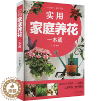 [醉染正版]实用家庭养花一本通 王敏 编 生活休闲 生活 京华出版社 美术