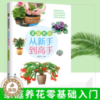 [醉染正版]家庭养花 从新手到高手 150多种常见花卉品种栽培方法 上盆浇水施肥光照管理修剪病虫各技术环节养花基础知识