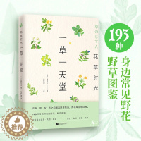 [醉染正版]花草时光-一草一天堂赠花草便签本森乃乙书籍生活养花书江苏凤凰文艺出版社鉴赏食用泡茶装饰将花草融入生活治愈身心
