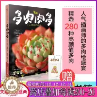 [醉染正版]多肉肉多(手绘升版) 多肉书籍大全 学养多肉养殖书籍养花种花大全多肉品种大全养花书籍种花大全多肉植物书