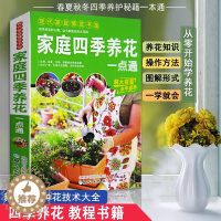 [醉染正版]家庭四季养花一点通现代家庭博览书屋养花基础知识详解养花的技巧从零开始学养花在家里打造充满快乐的私人花园养花家