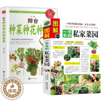 [醉染正版]2册 图解一平米的私家菜园+阳台种菜种花种香草 种植技术新手入门四季养花种花大全家庭养花种菜花卉种植宝典书籍