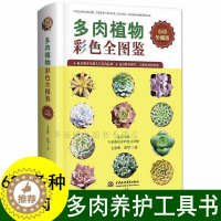 [醉染正版]多肉书籍 养多肉的书 多肉植物彩色全图鉴 多肉书籍大全技术 多肉植物书名称书 养花书籍花卉养殖种植养护盆栽培