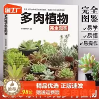 [醉染正版]正版 多肉植物完全图鉴 家庭阳台养花养多肉植物绿植盆栽种植园艺书籍 易学易懂多肉植物彩色全图鉴多肉植物书