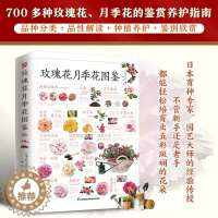 [醉染正版] 玫瑰花月季花图鉴 植物科普百科全书书籍 自然科学读物 百科全书 养花养植物养护指南 玫瑰月季基础知