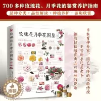 [醉染正版] 玫瑰花月季花图鉴 植物科普百科全书书籍 自然科学读物 百科全书 养花养植物养护指南 玫瑰月季基础知