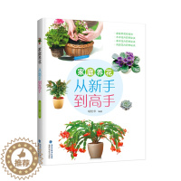 [醉染正版]正版 家庭养花从新手到高手 胡松华 书店 家庭园艺书籍 畅想书