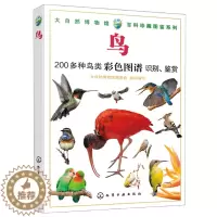 [醉染正版]大自然博物馆 百科珍藏图鉴系列 鸟 生活环境习性繁殖特点知识大全 鸣禽陆禽猛禽收录 青少年中小学生动植物科