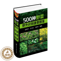 [醉染正版]500种野菜野外识别速查图鉴 岳桂华 生物科学 生活百科书籍 野生植物花草识别图解书籍 植物特性药学图鉴 中