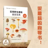 [醉染正版]生活实用野生蘑菇鉴别宝典 菌菇松茸菌类野生菌野生蘑菇蘑菇料理蘑菇百科野生蘑菇图书 采书蘑菇百科