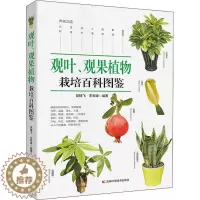 [醉染正版]观叶、观果植物栽培百科图鉴 吴棣飞,王军峰 编 日常生活休闲基础知识图书 专业书籍 吉林科学技术出版