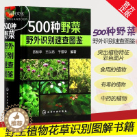 [醉染正版]正版 500种野菜野外识别速查图鉴 生活百科书籍 野生植物花草识别图解书籍 认识身边常见植物介绍书 植